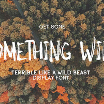 Something Wild Display Font